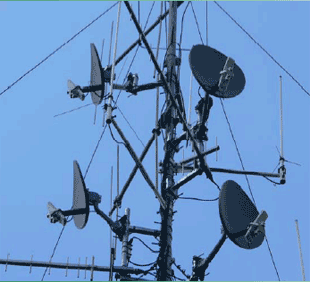 Canopy antennak